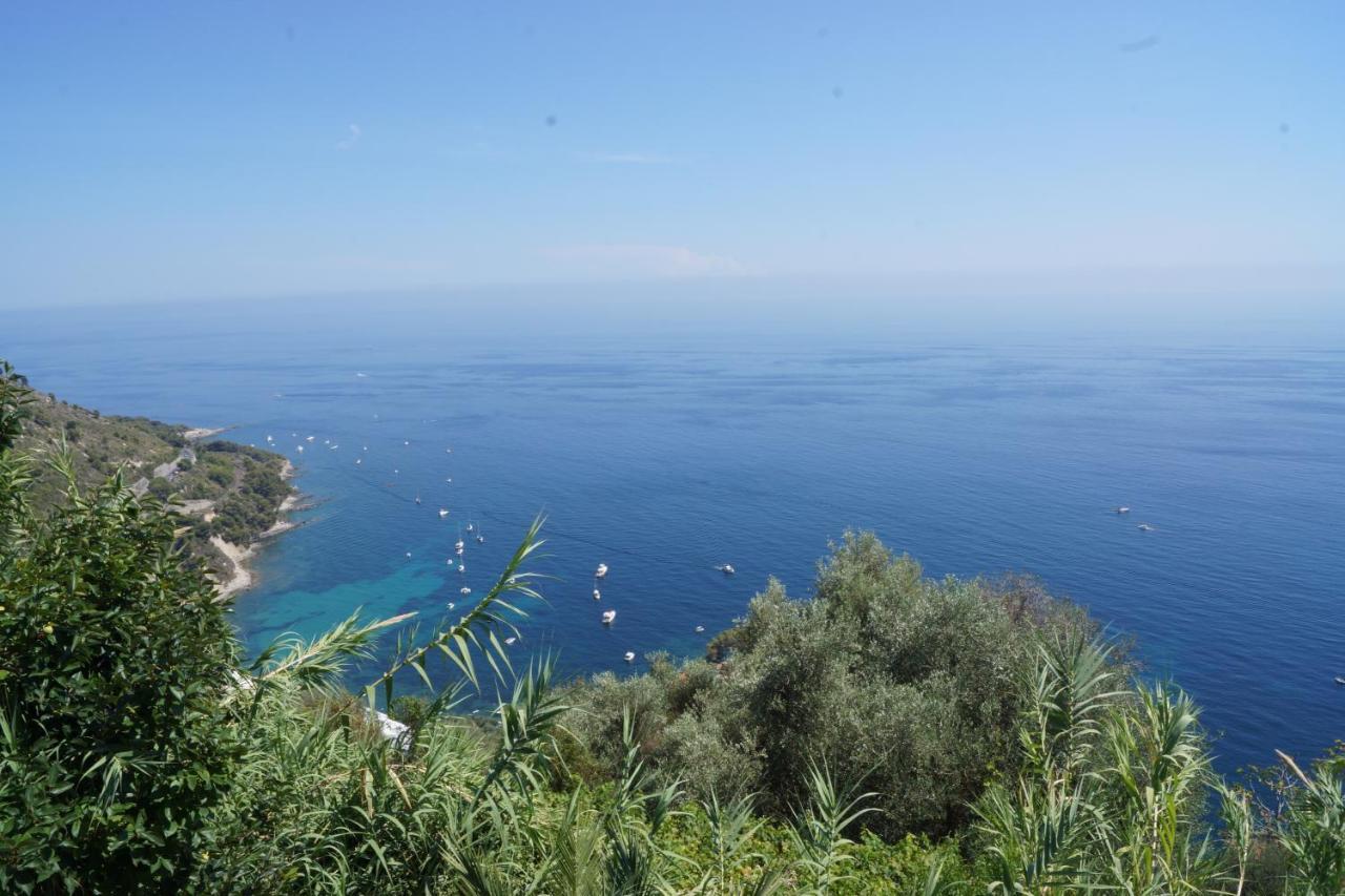 Total Sea View Grimaldi Daire Ventimiglia Dış mekan fotoğraf